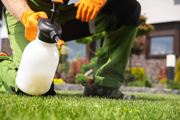 Best Emergency Pest Control  in Stallion Springs, CA
