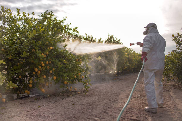 Best Best Pest Control Companies  in Stallion Springs, CA