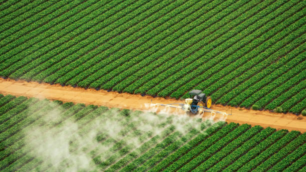 Best Cockroach Control Services  in Stallion Springs, CA
